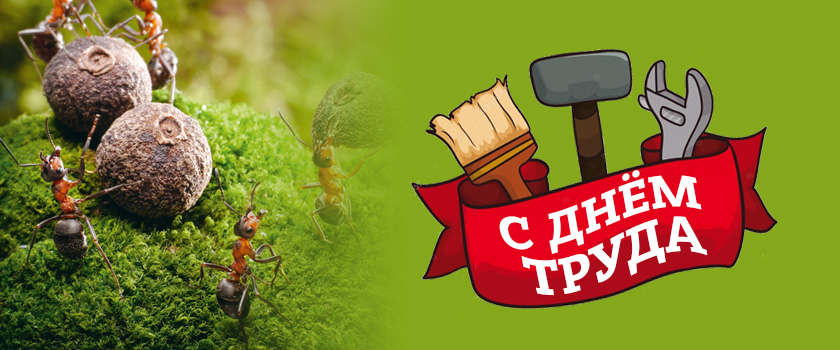 Мир, труд, май!
